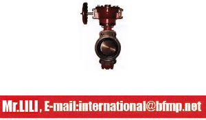 Non-Return valve PN 0.1-6.4MPa