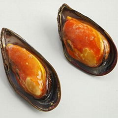 Frozen Half Shell Mussel