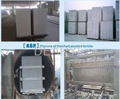 Autoclaved Aerated Concrete Block(aac) Machine