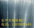 安平县丰瑞供应电焊网