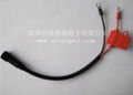 2Pin outdoor LED cable 1