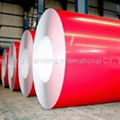 prepainted steel coils