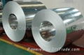 HOT DIP GALVALUME STEEL COILS