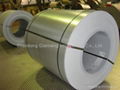 prepainted steel sheet