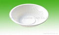 disposable plate biodegradable cutlery