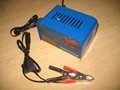Ultipower 48V 18A automatic reverse pulse battery charger 5