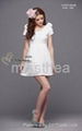 Brand ladies dresses 1