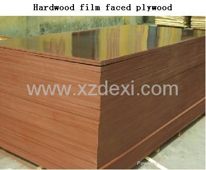 Hardwood film faced plywood