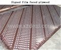 Signed film faced plywood
