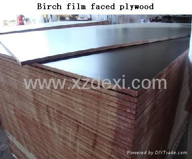 Birch film faced plywood