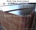 Birch film faced plywood 1