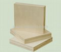 Pine plywood 1