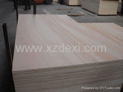 Poplar plywood