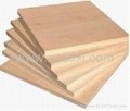 Eucalyptus plywood