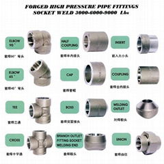 Wenzhou Outebao pipe&fitting Co.,Ltd