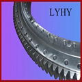 LYHY four point contact ball slewing bearing 1