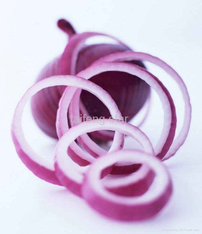 2012 onion  3