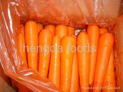 2012 carrot  5