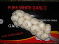 fresh garlic  3