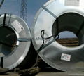 GI and CR steel coil 2