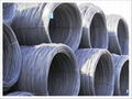 Hot rolled steel coils 5