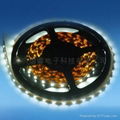 led Flexible stirp light