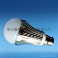 LED Bulb lamp 1