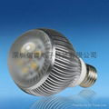 LED Global Bulb 1