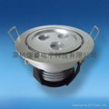 LED Downlight