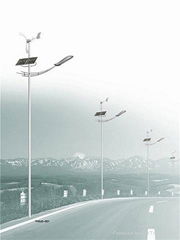 wind solar street light