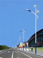 wind solar street light 2