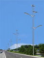 wind solar street light 4