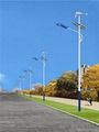 wind solar street light 5