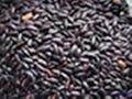 black rice anthocyanin