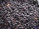 black rice anthocyanin