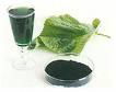 sodium copper chlorophyllin