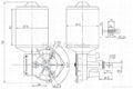 DC Worm Gear Motor D76R-2445-220 2