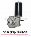 DC Worm Gear Motor