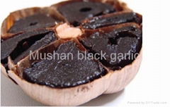 Amazing Black garlic helping lower blood sugar & blood pressure