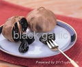 black garlic help fighting cancer 3