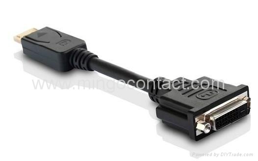 DP to DVI Cable Adapter 2