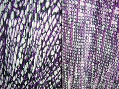 plisse fabric