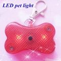 led pet product,pet tag,pet light, lovely pendent 2