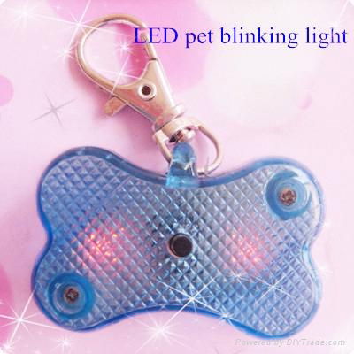 led pet product,pet tag,pet light, lovely pendent 3