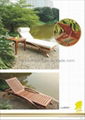 2011 hot selling outdoor furniture leisure lounge chair 1