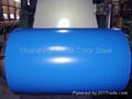 Color Galvanized Steel Coil