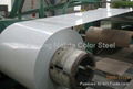 Color Galvanized Steel Coil 5