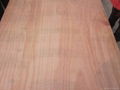 okoume plywood