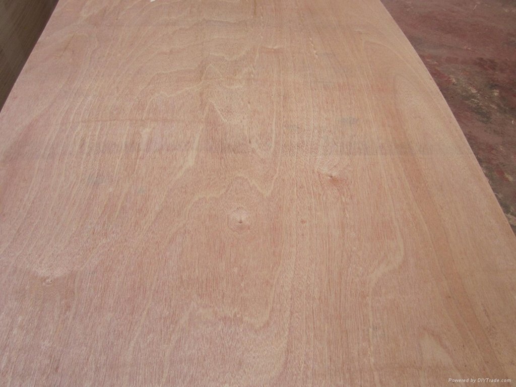 okoume plywood 3