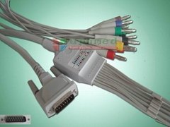 Schiller EKG Cable with 10 -leadwires